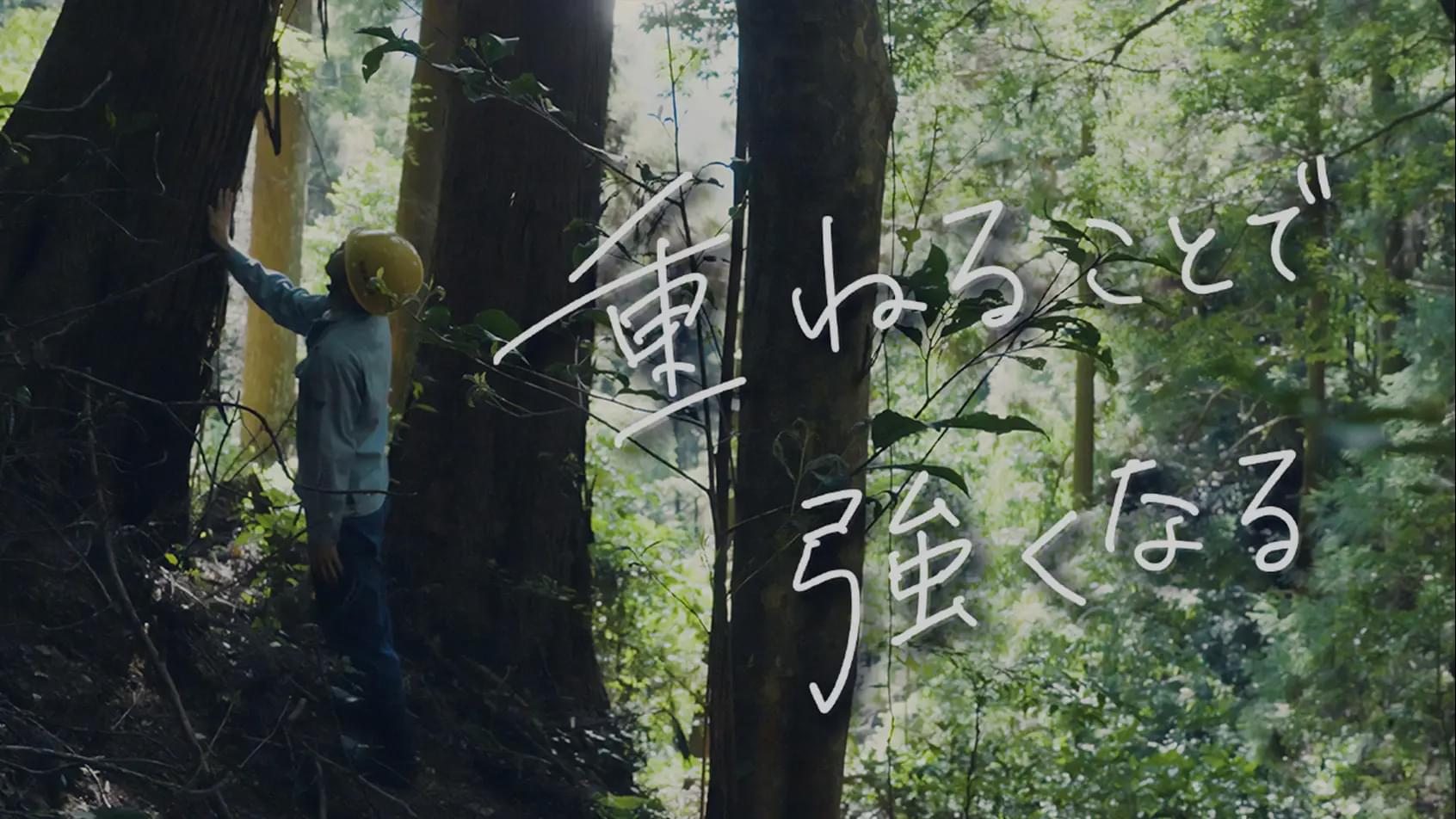 ブランドムービー